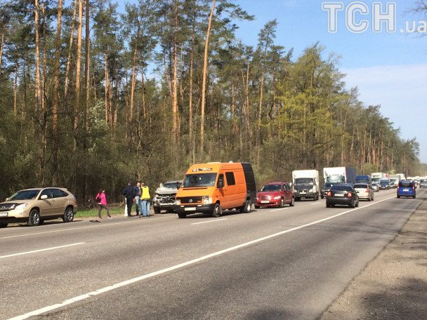 Сбил лося и разбил внедорожник: известный украинский боксер попал в ДТП 1