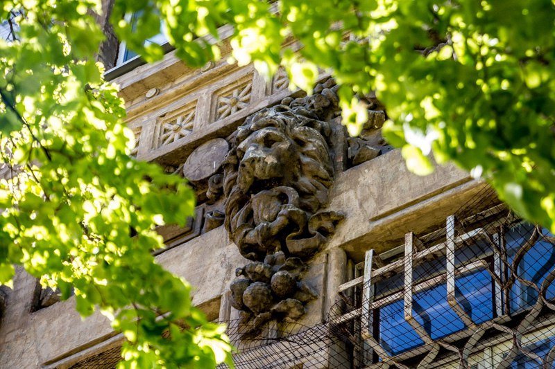 Лепные львы и безрукая муза: история одного дома в центре Днепра 12