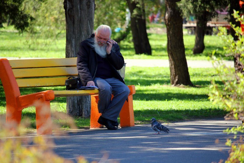 Бегающие дети, влюбленные парочки и маленькие утята: весна в парке Глобы 5