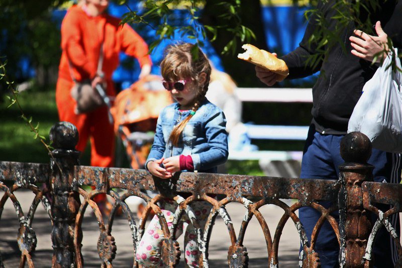 Бегающие дети, влюбленные парочки и маленькие утята: весна в парке Глобы 6