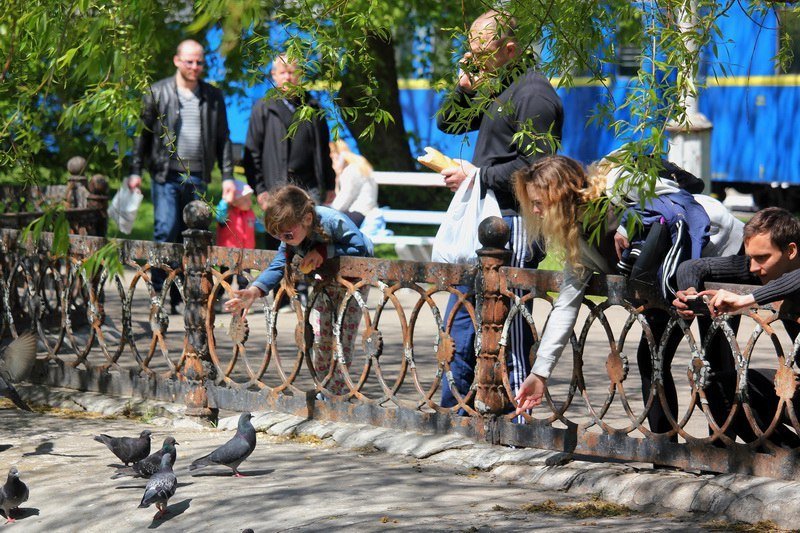 Бегающие дети, влюбленные парочки и маленькие утята: весна в парке Глобы 7