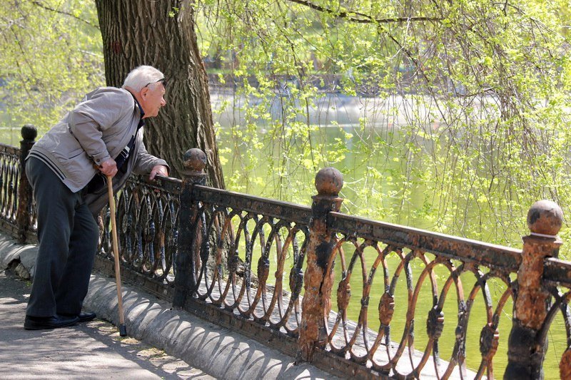 Бегающие дети, влюбленные парочки и маленькие утята: весна в парке Глобы 10