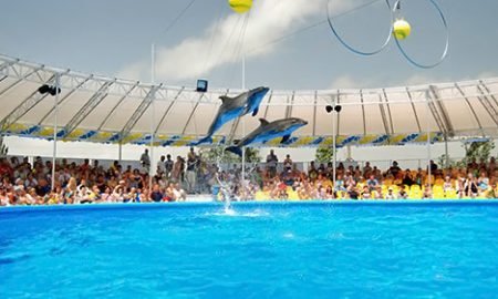 Бердянск: отдых на знаменитом курорте Азовского моря 4