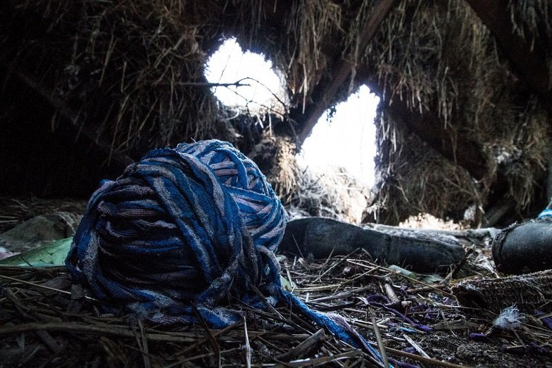 Агония на краю света: затерянные села Днепропетровщины. Часть II 17