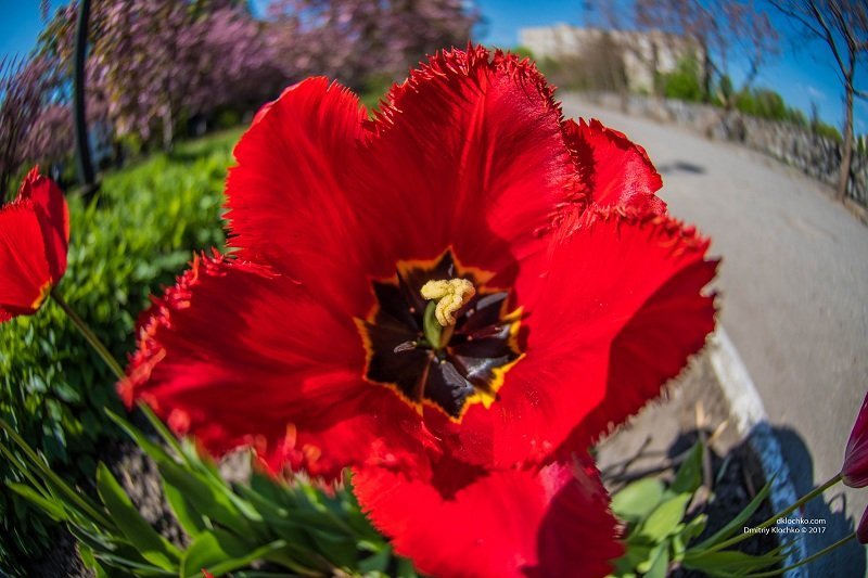 Весна в Днепре: шашлыки на улице, прогулки и девушки в юбках 18