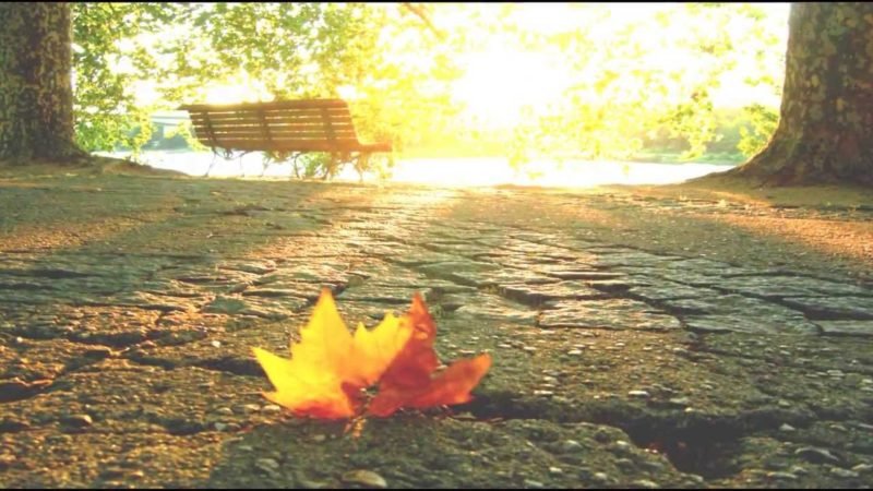 3 мая в Днепре: куда пойти сегодня 4