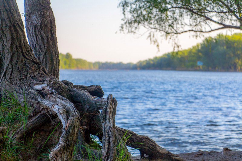 Где в Днепре отдохнуть на природе: коса на ж/м Победа-6 14