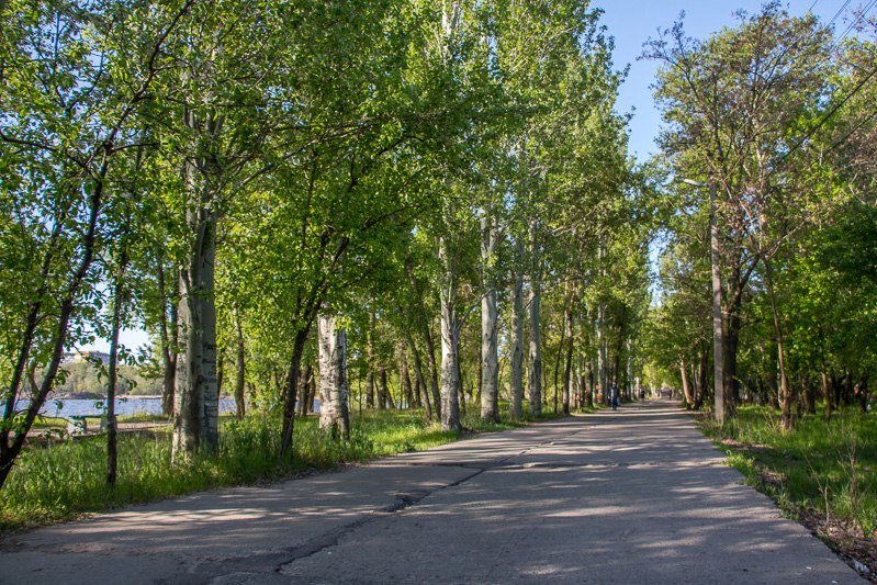 Где в Днепре отдохнуть на природе: коса на ж/м Победа-6 18