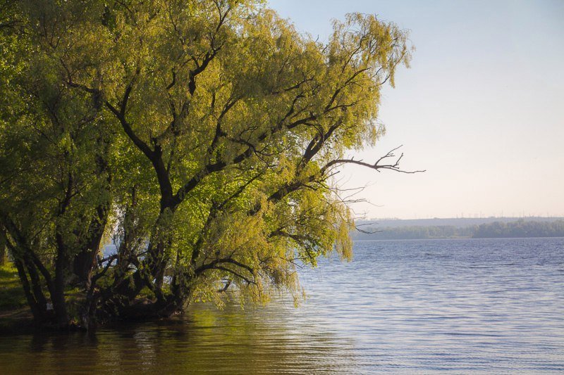 Где в Днепре отдохнуть на природе: коса на ж/м Победа-6 19