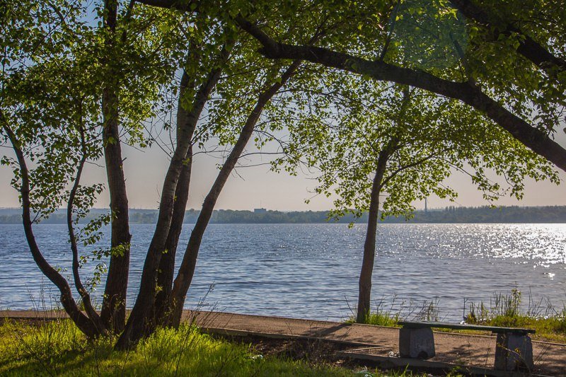 Где в Днепре отдохнуть на природе: коса на ж/м Победа-6 24