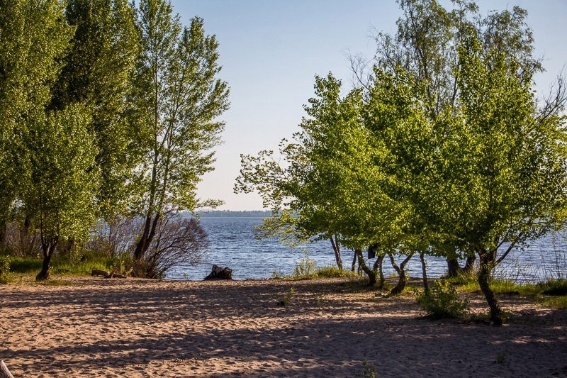 Где в Днепре отдохнуть на природе: коса на ж/м Победа-6 26