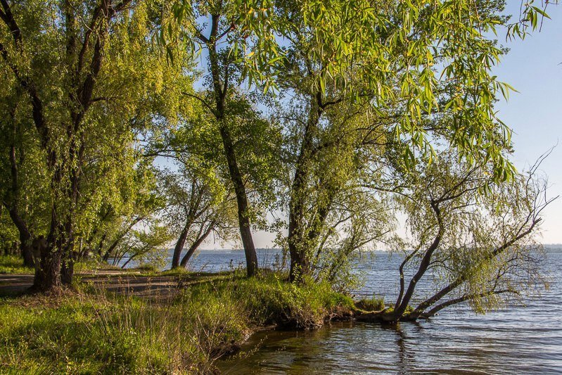 Где в Днепре отдохнуть на природе: коса на ж/м Победа-6 28