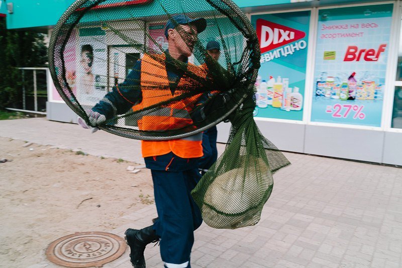 Как в Днепре решают проблему бродячих собак 12