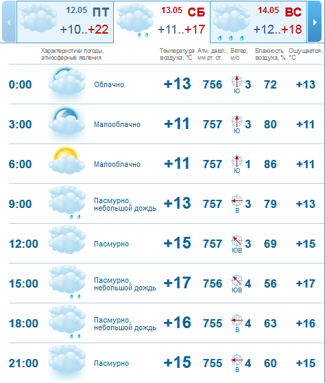 Погода на 13 мая: в Днепре будет пасмурно, возможен дождь 2