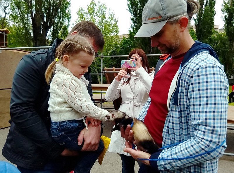 Парад роллеров, прыжки на батуте и скалолазание: в Днепре прошел фестиваль экстремального спорта 12