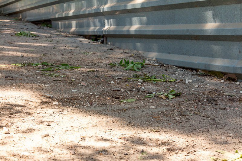 В центре Днепра обрушилась часть заброшенной больницы Красного Креста 6