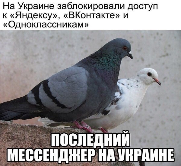 Не ищи меня ВКонтакте, в Одноклассниках нас нету: ТОП мемов о закрытии соцсетей 20