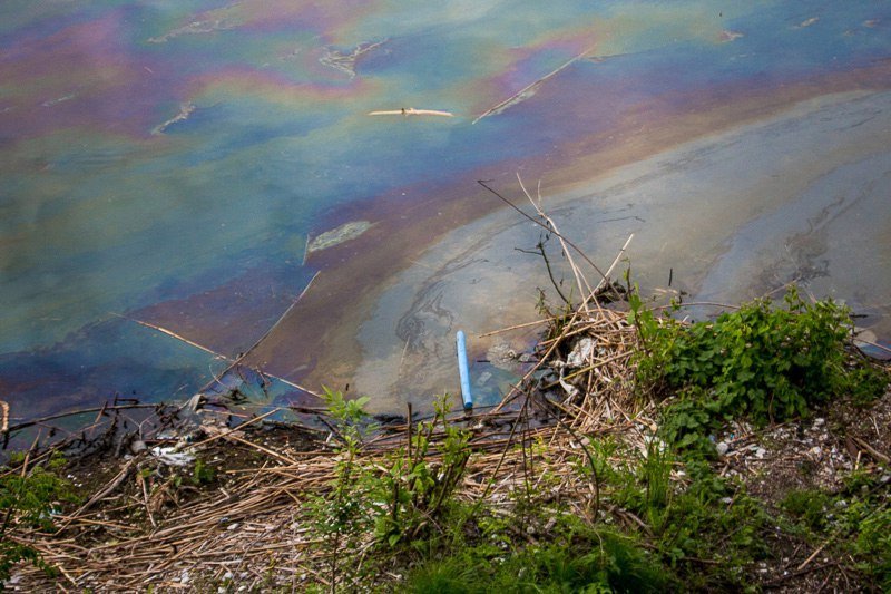 Топливо и мертвая рыба: на воде возле Фестивального причала появилось огромное масляное пятно 3