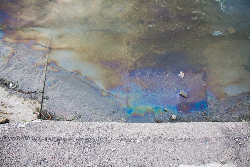 Топливо и мертвая рыба: на воде возле Фестивального причала появилось огромное масляное пятно 4