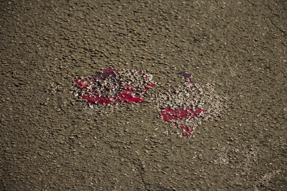 ДТП возле автовокзала: водитель на Ford сбил пожилую женщину 5