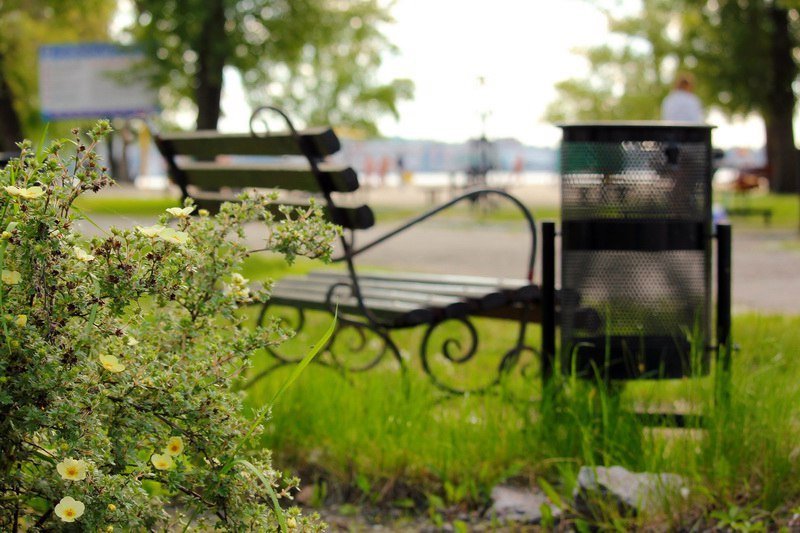 Где в Днепре отдохнуть на природе: Воронцовский пляж 3