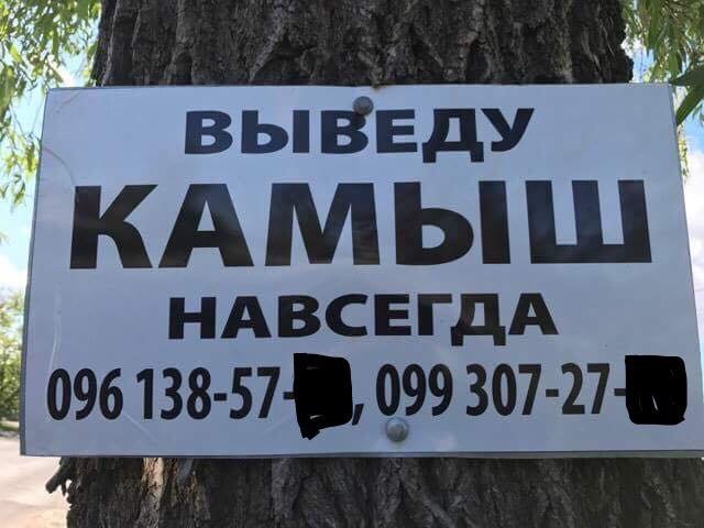 Глобальная зачистка: с 1 июня в Днепре стартует операция-ликвидация 1