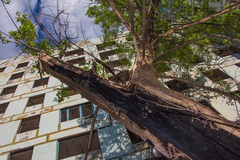 Взгляд изнутри: прогулка по заброшенному дому на Тополе 4