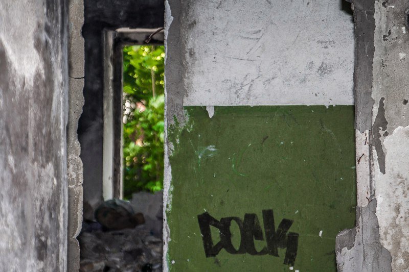 Взгляд изнутри: прогулка по заброшенному дому на Тополе 7