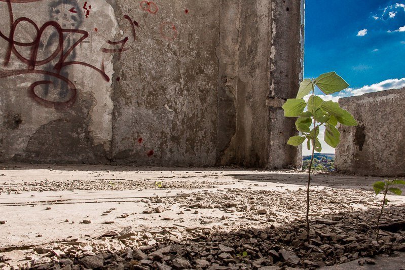 Взгляд изнутри: прогулка по заброшенному дому на Тополе 25