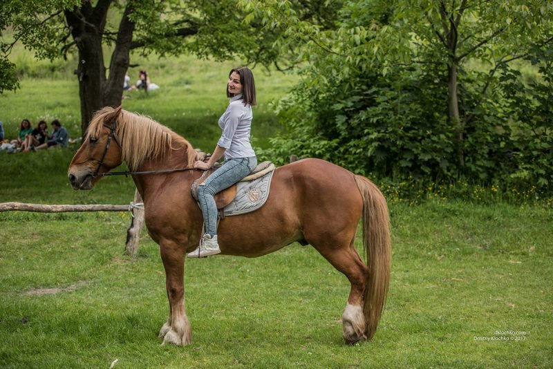 Килты, фаер-шоу и лошади: в Днепре прошли Межрегиональные горские игры 22