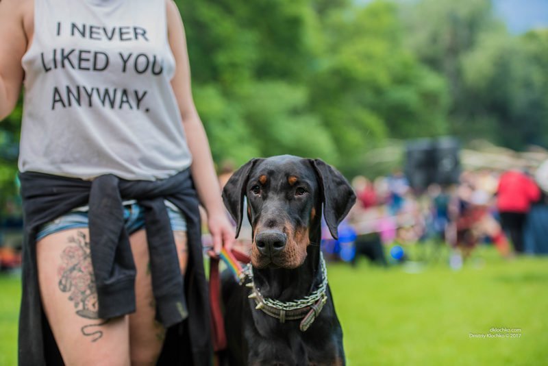 Килты, фаер-шоу и лошади: в Днепре прошли Межрегиональные горские игры 23