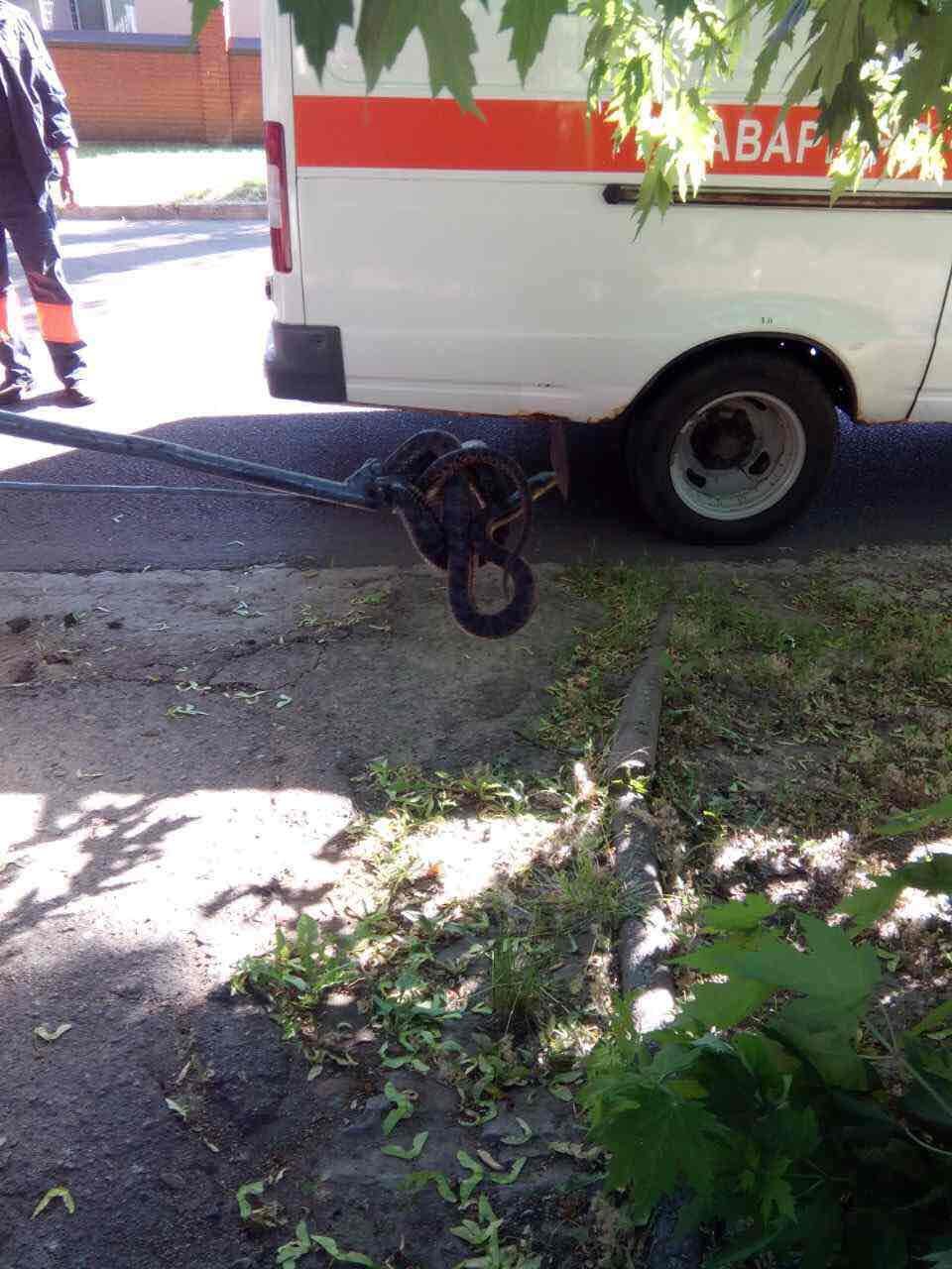 На Гагарина поймали змею 1