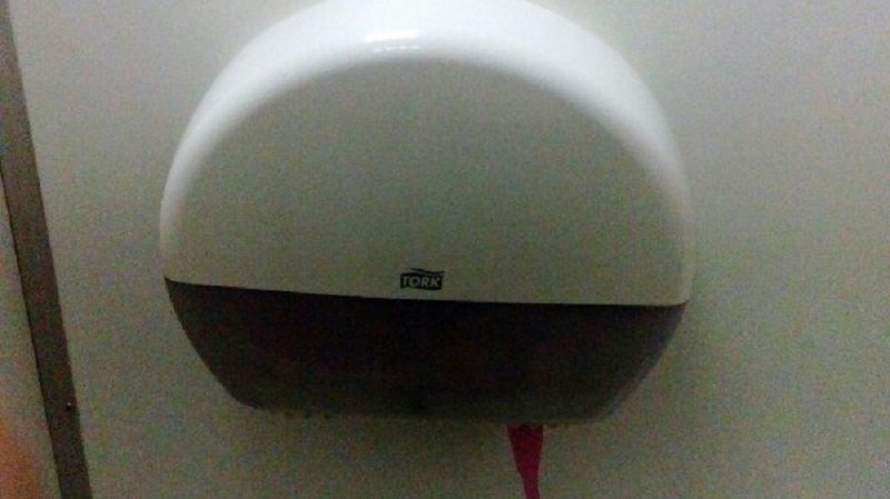 Ревизия «по-большому» и «по-маленькому» в ТЦ "Приозерном": цена, качество и удобства 7