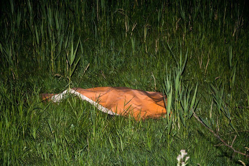 ДТП на Полтавском шоссе: водитель ВАЗ скончался на месте 10