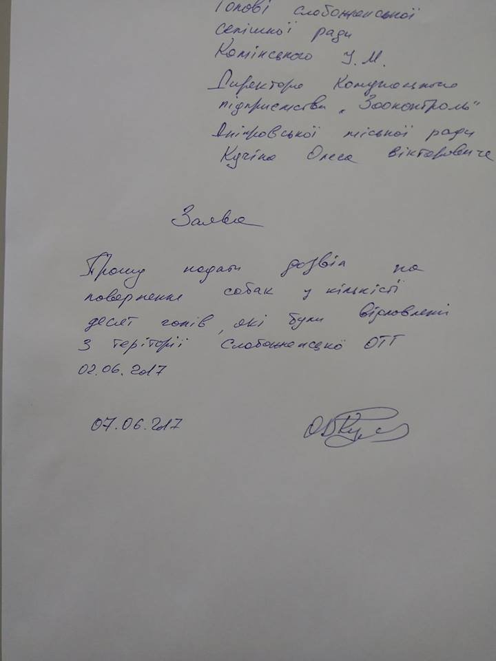 Спасательная миссия: бездомных собак из Днепра выкупили у харьковских отловщиков 1