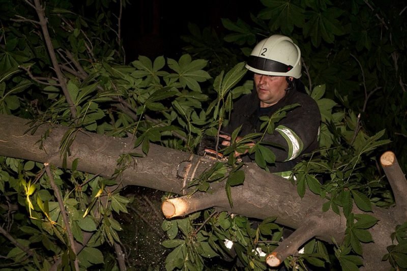 ДТП в центре Днепра: разбитая Daewoo и влетевший в дерево Land Cruiser 3