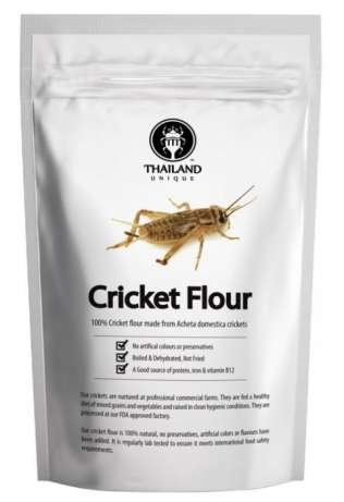 Масонская печать и мука из сверчков: ТОП самых дорогих вещей, которые можно купить в Днепре 3