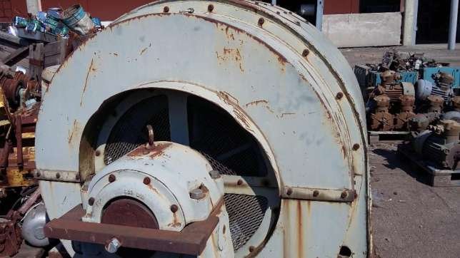 Масонская печать и мука из сверчков: ТОП самых дорогих вещей, которые можно купить в Днепре 12