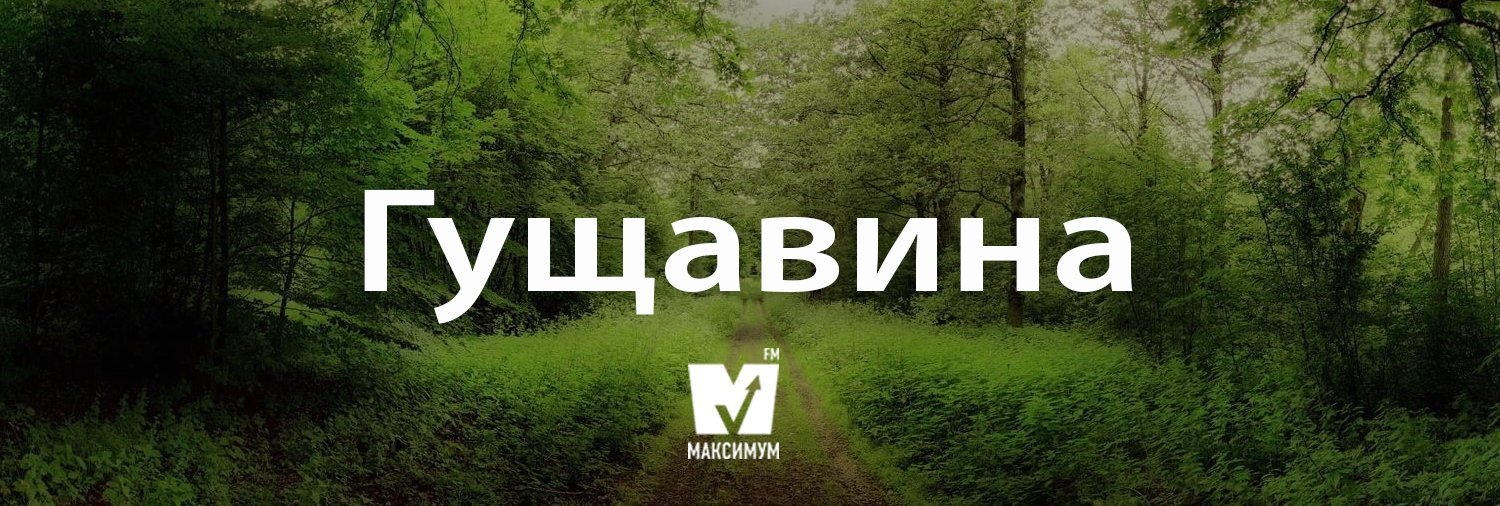 Говори красиво: 12 украинских слов, которые пополнят ваш словарный запас 3