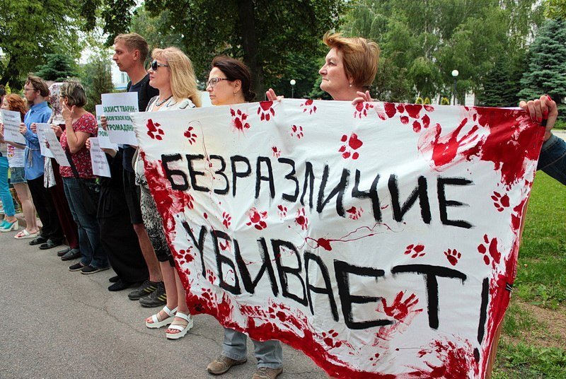 Прочь кровавые руки