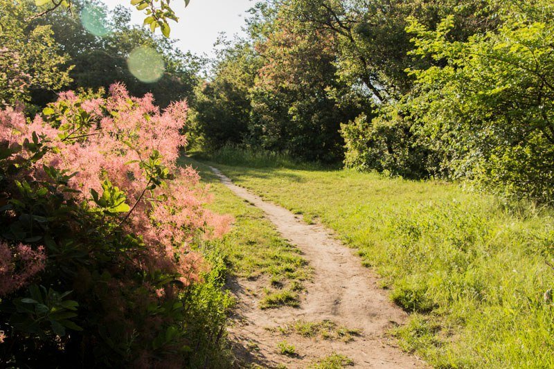 Где в Днепре отдохнуть на природе: Тоннельная балка 15
