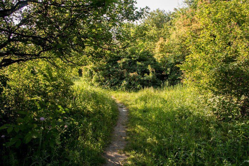 Где в Днепре отдохнуть на природе: Тоннельная балка 16