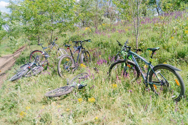 Крутые склоны, драйв и экстрим: в Днепре стартовал Dnepr Action Fest 13