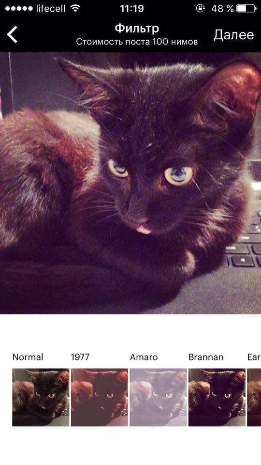 Обменять время на деньги: что такое Nimses и как им пользоваться 9