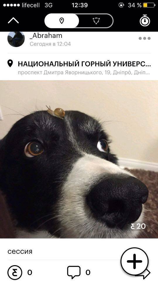 Обменять время на деньги: что такое Nimses и как им пользоваться 12