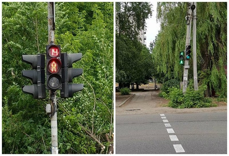 На Солнечном, где сбили школьниц, установили светофоры с таймерами 1