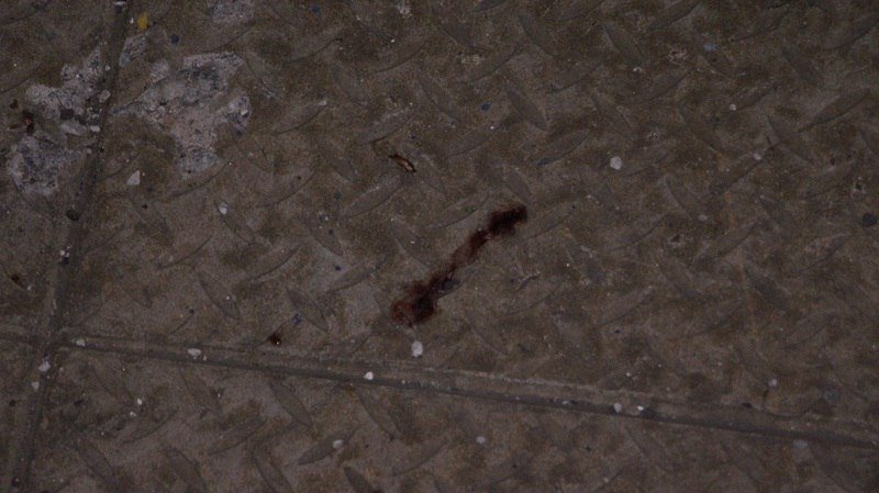 На Амуре поезд насмерть сбил мужчину 4