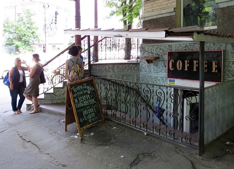 Борьба за ворона в Днепре: зоозащитники против хозяина 3