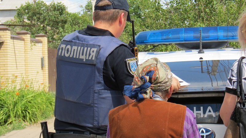 Жестокий бизнес: как в Днепре наживаются на котятах и щенках 2