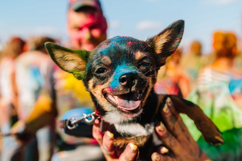 В Днепре прошел яркий Kolir Fest: как это было 16